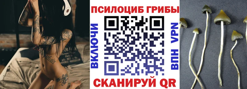 MEGA рабочий сайт  как найти закладки  Сафоново  Галлюциногенные грибы MAGIC MUSHROOMS 