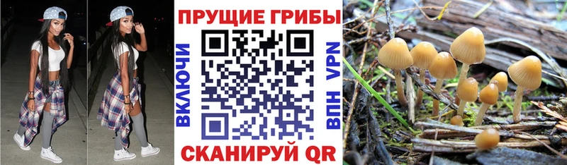 Галлюциногенные грибы ЛСД Сафоново